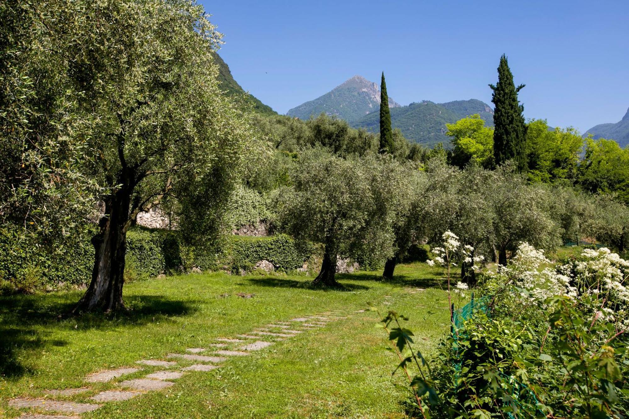 Casa Turchese - Happy Rentals Riva del Garda Eksteriør bilde